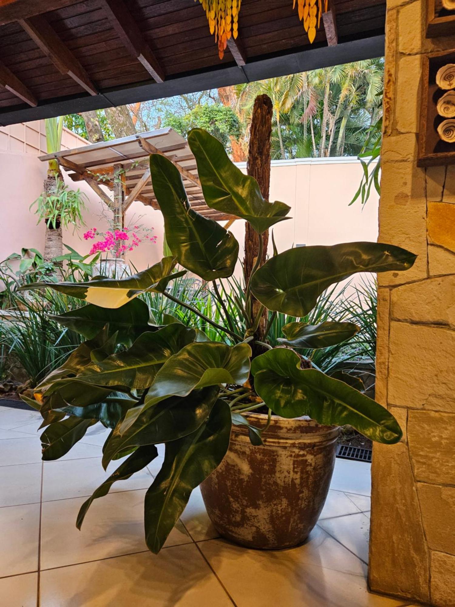 Casa Garay Hotel 658 Asunción Eksteriør billede